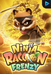Ninja Raccoon Frenzy
