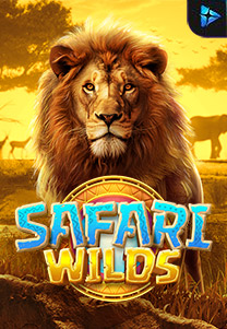 Safari Wilds