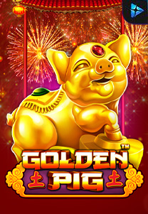 Golden Pig