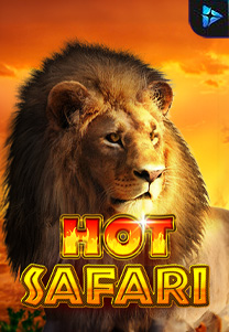 Hot Safari
