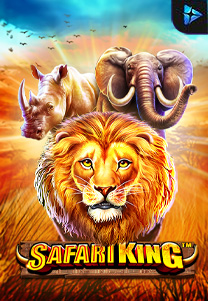 Safari King