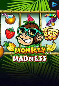 Monkey Madness